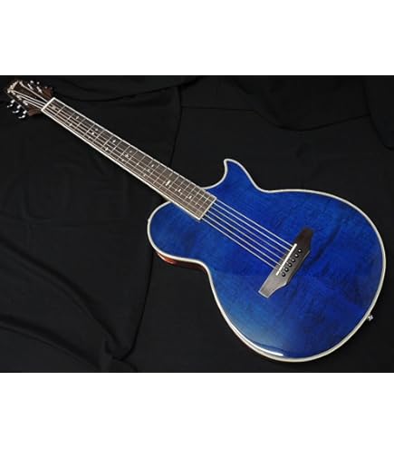 Amazon | ARIA APE-100 SBL シースルーブルー アコースティックギター